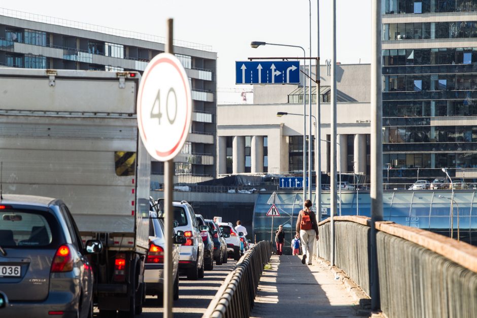 Seimo narė prašo ištaisyti automobilių taršos mokesčio klaidas