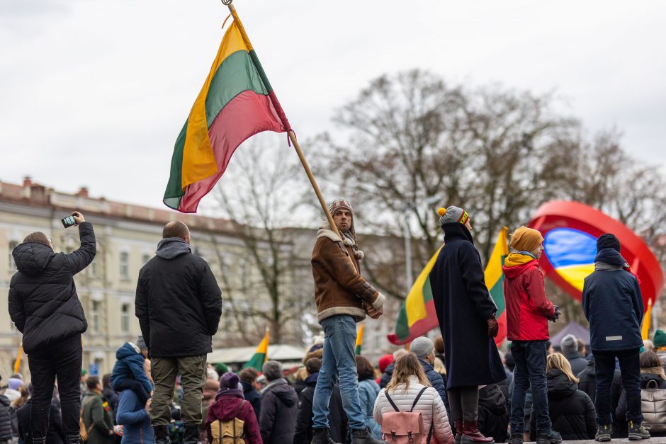 Gedimino pilies bokšte iškelta nauja trispalvė: minima Vėliavos diena