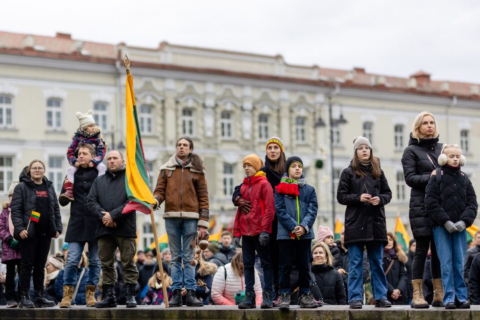 Gedimino pilies bokšte iškelta nauja trispalvė: minima Vėliavos diena