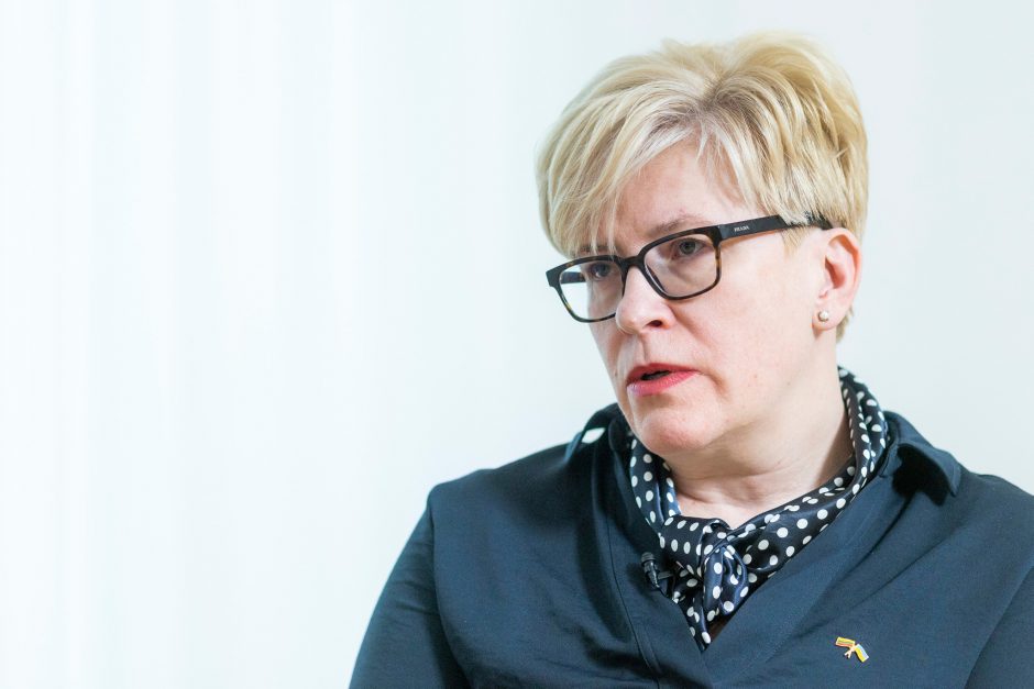 Premjerė apie pensijų kaupimo pokyčius: grandiozinės reformos nebus