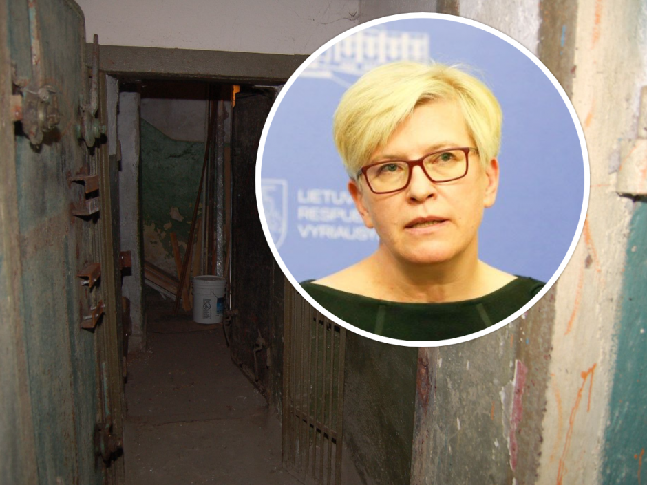 I. Šimonytė apie kylančius klausimus dėl slėptuvių: gyventojams nereikėtų panikuoti