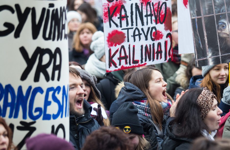 Seimas svarstys siūlymą uždrausti laikyti gyvūnus dėl kailių