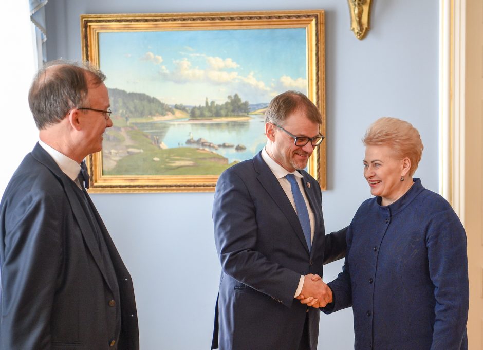 D. Grybauskaitė dėkoja Suomijai už paramą dėl Astravo jėgainės