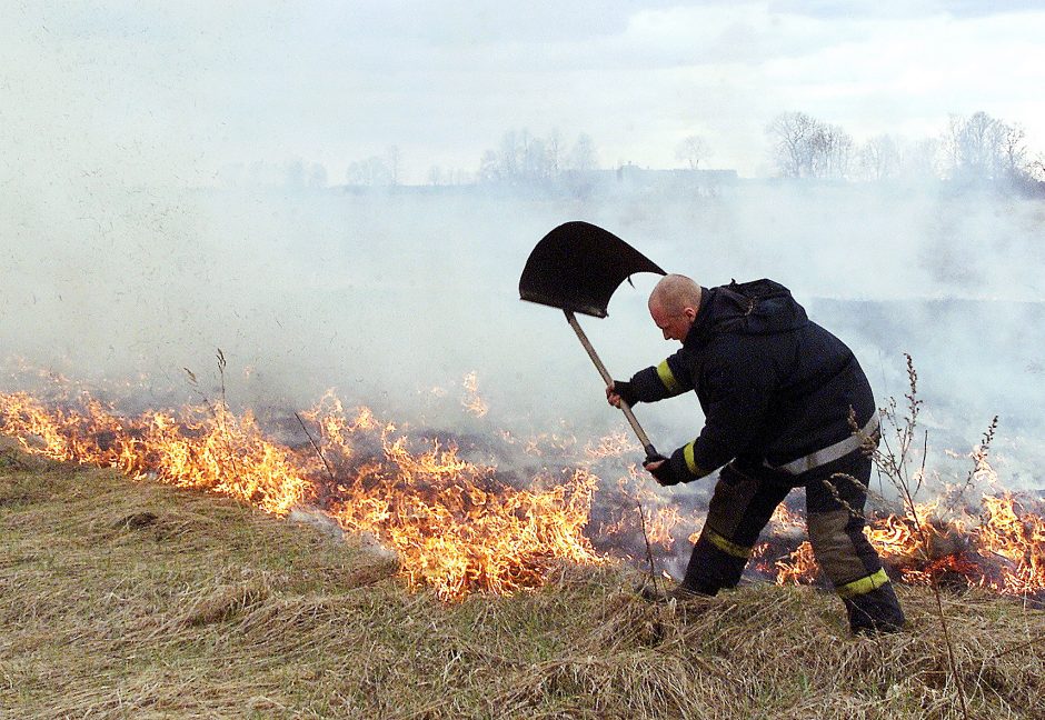 Pabudo didžiulę grėsmę keliantys žolės degintojai