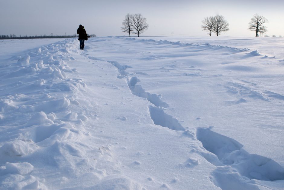 Klimatologas: klimato kaita turi ir pliusų, bet minusų gerokai daugiau