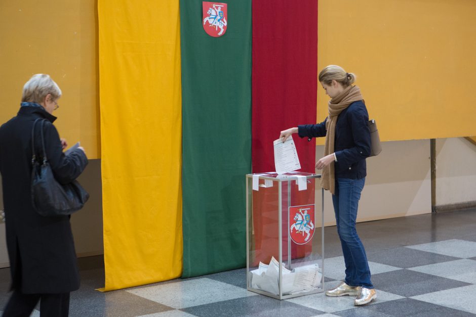 Ministras – apie „planą B“ pralaimėjus referendumą dėl pilietybės