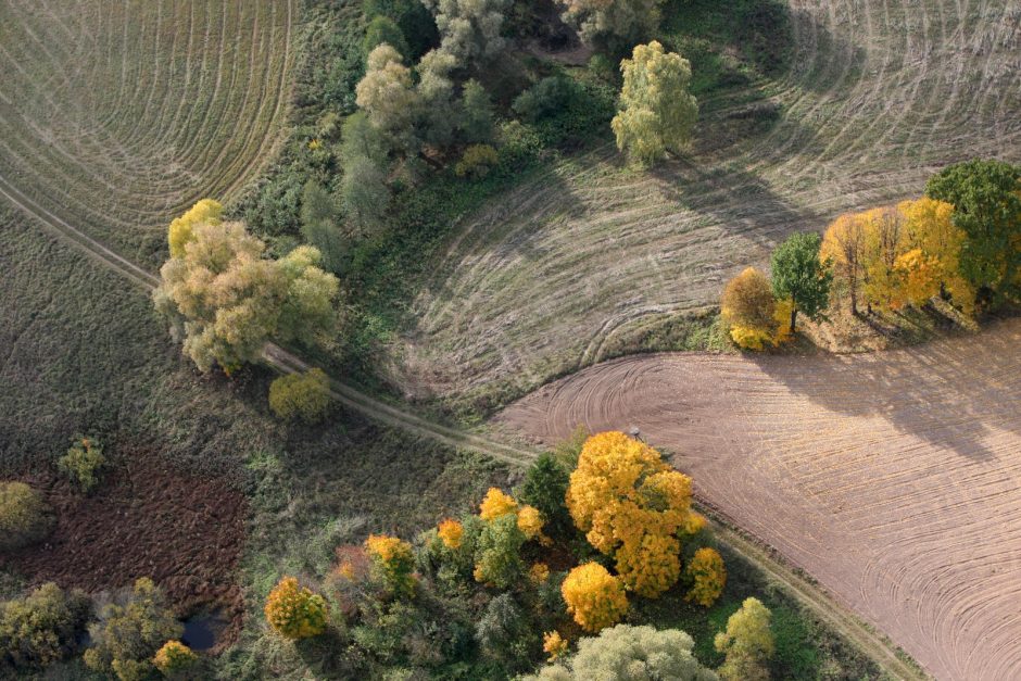 Pradedami mokėti avansai už deklaruotus plotus