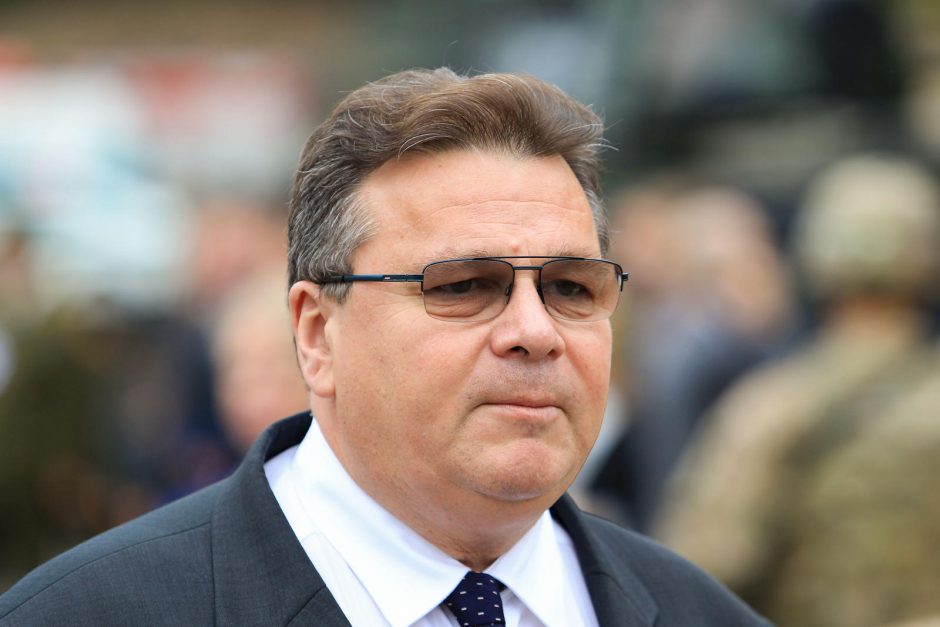 L. Linkevičius: olandų tyrimas dėl numušto lėktuvo pateikė neginčijamų įrodymų