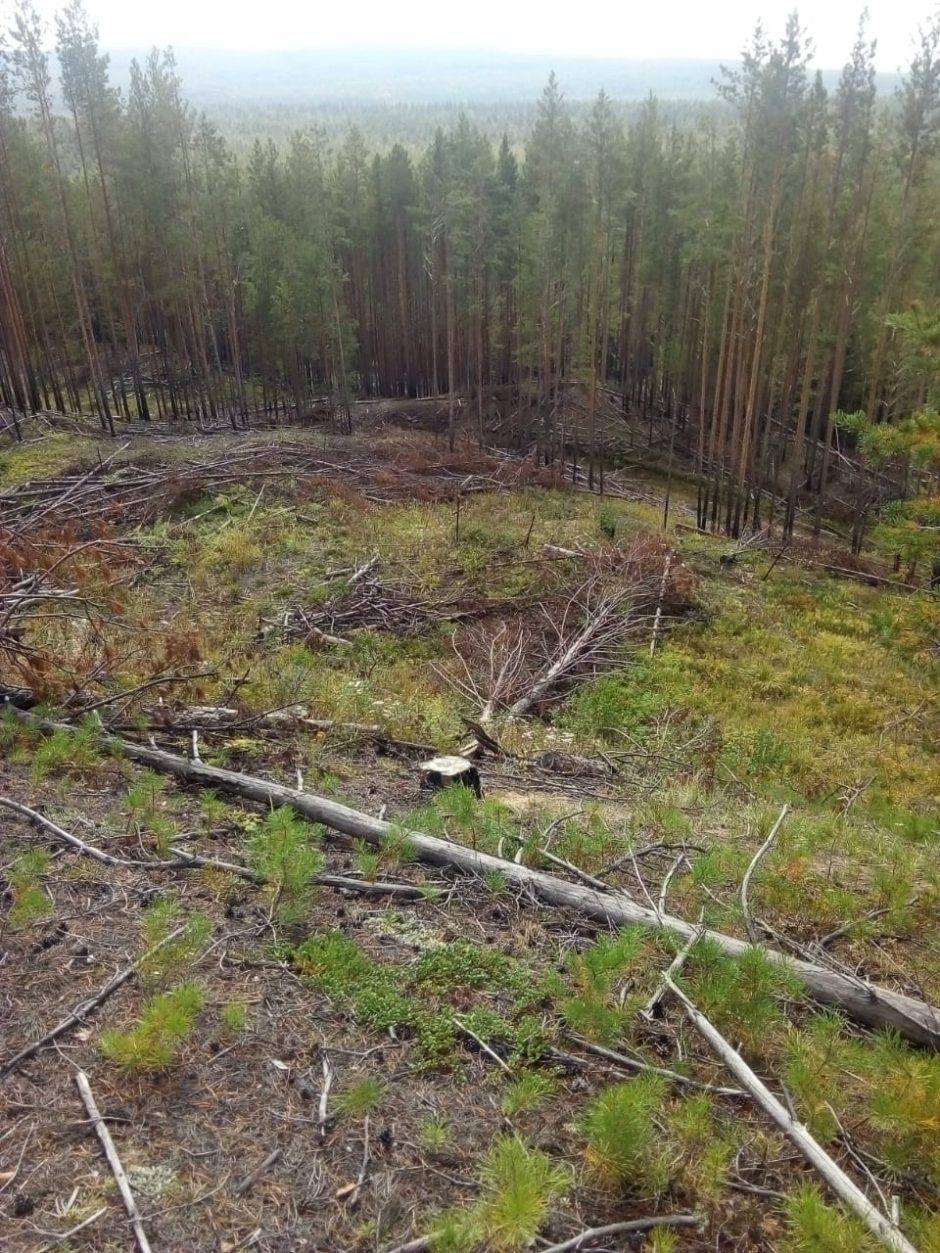 Apleistose tremtinių kapinaitėse Sibire rado paslaptingą šiauliečio antkapį