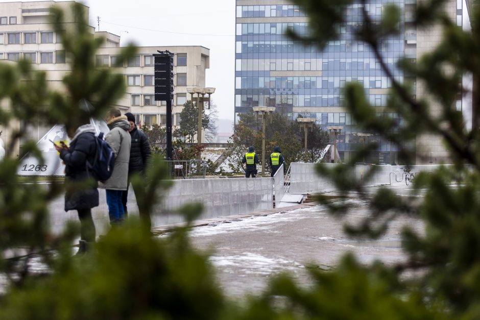 Policija: Sausio 13-osios minėjime prie Seimo pažeidimų neužfiksuota