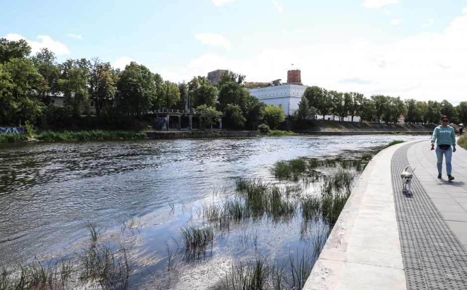 Hidrologė: sausros nenutrauktų net ir kelių savaičių nepertraukiamas lietus