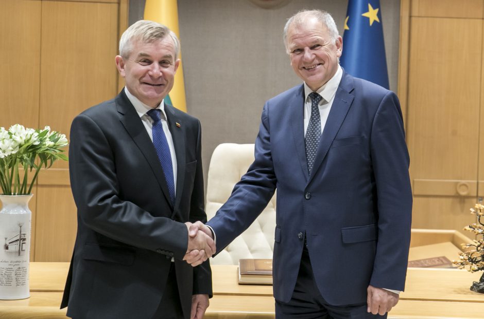 V. P. Andriukaitis: Seimo vadovui  privalu turėti Seimo pasitikėjimą