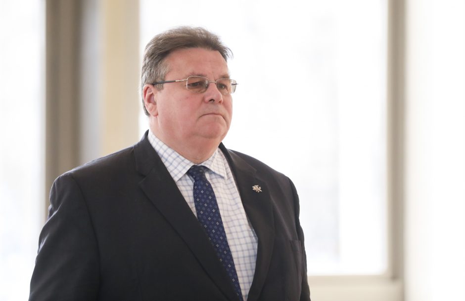 „Socialdarbiečių“ sąrašą į Seimo rinkimus ves L. Linkevičius