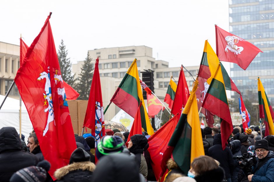 Sausio 13-osios minėjimas – triukšmingas: premjerė kalbą sakė su ašarom, protestuotojai rėkė „Gėda!“