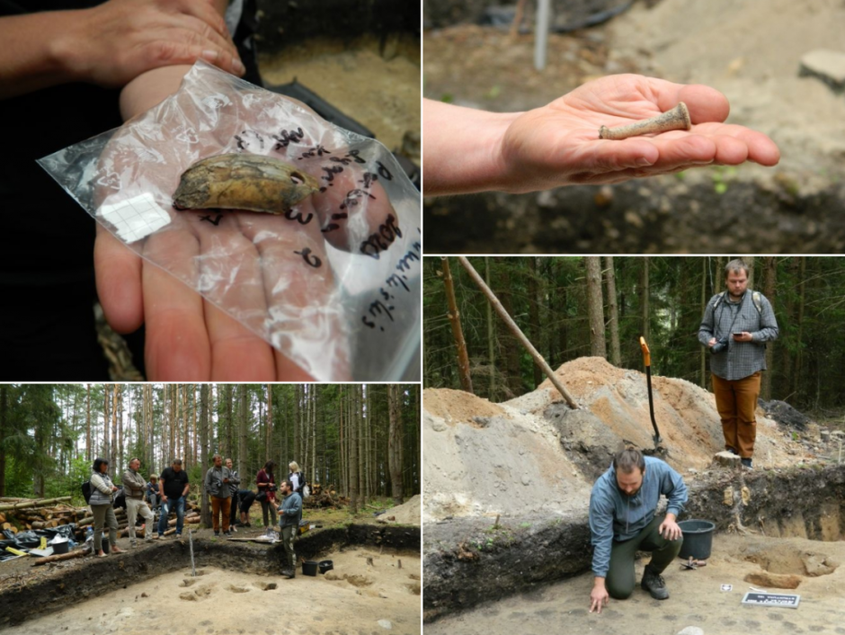 Mineikiškių piliakalnyje archeologai rado 3 tūkst. metų senumo gyvenvietę