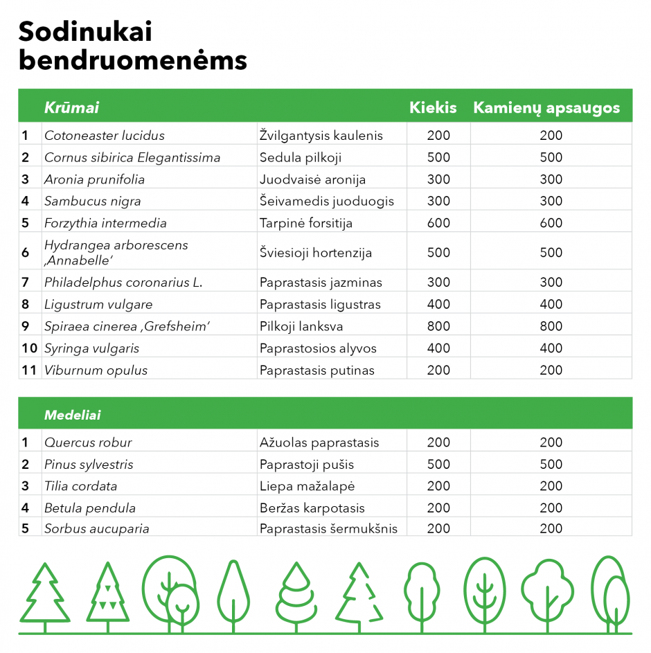 Vilniečiams – žalios dovanos: išdalins per 5 tūkst. krūmų ir medžių sodinukų