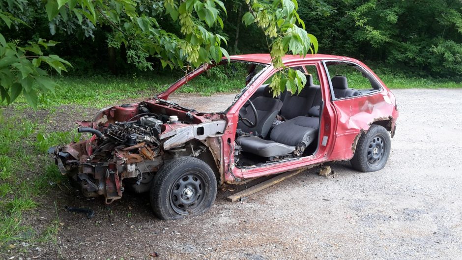 Aplinkosaugininkai tikrins automobilių importuotojus