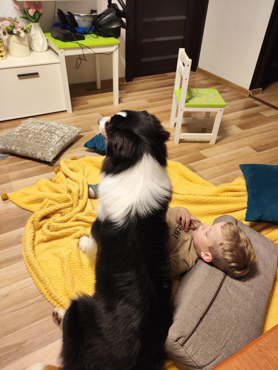 Labučių šeimoje ir šunys, ir vaikai sutaria kuo puikiausiai