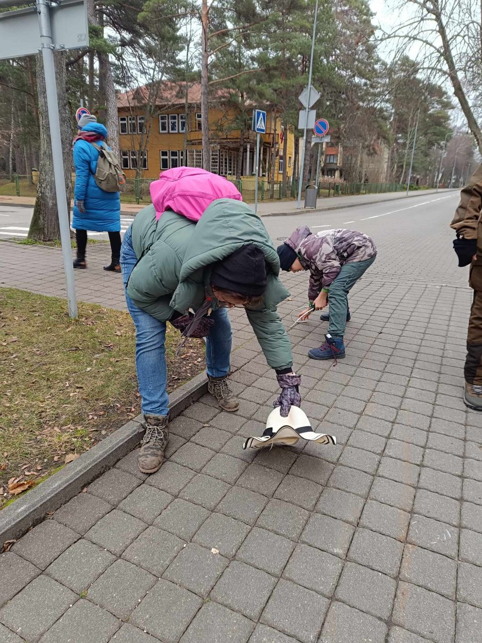 Neįprasta akcija Palangoje: skautai matavo kurorto alėją