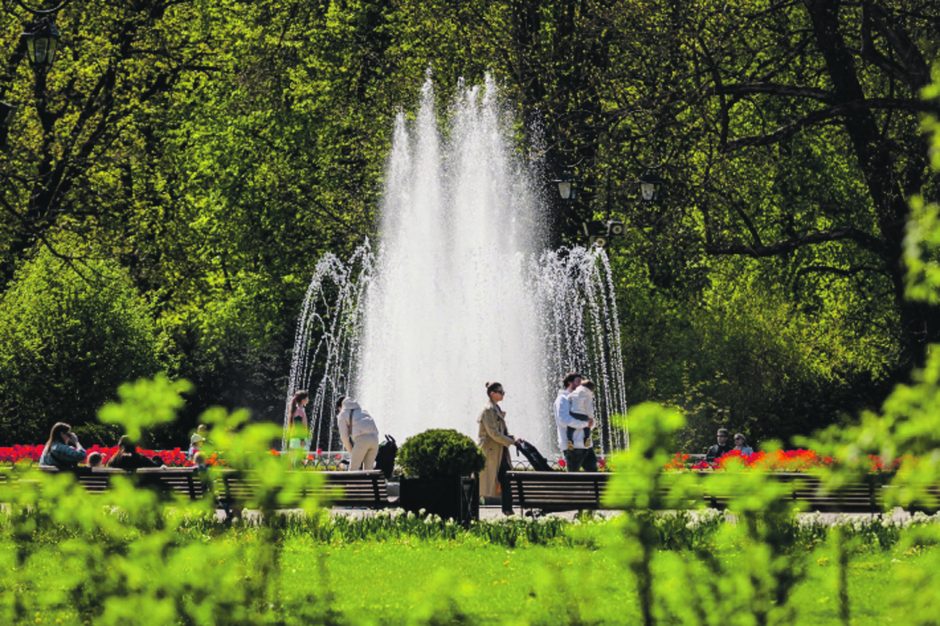 Ankstesnis šaltibarščių sezonas, augo ir lauko baldų pardavimai