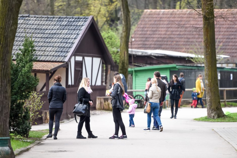 Naują sezoną zoologijos sode – nauji gyvūnai