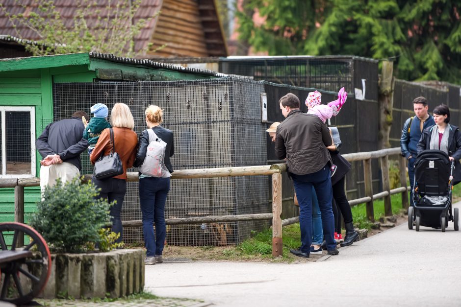 Naują sezoną zoologijos sode – nauji gyvūnai