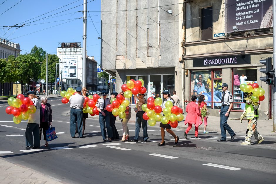 Autobusu keliavo ir šuo Amsis