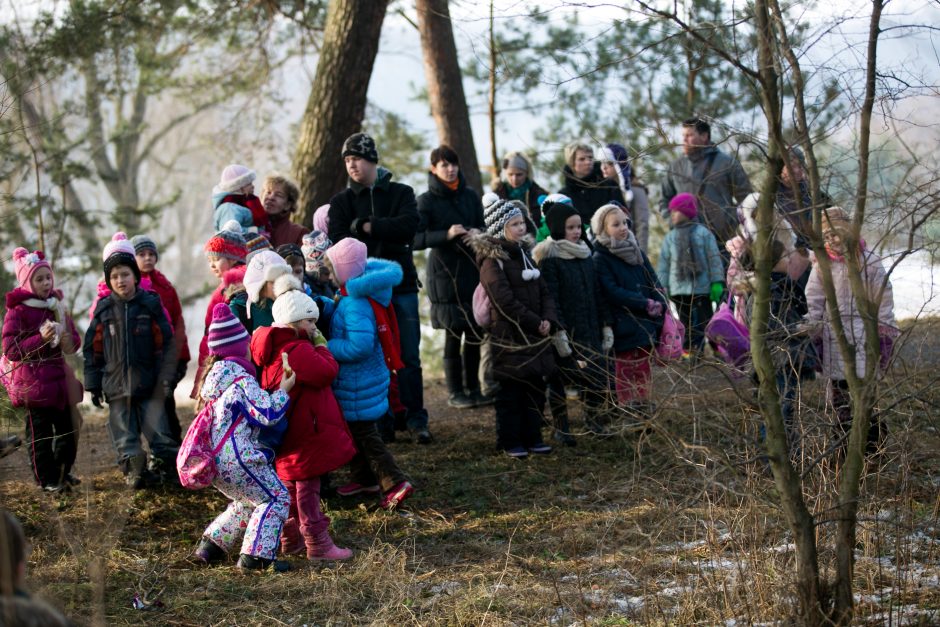 Pelėdos turės naujus namus – Panemunės šile pakabinti inkilai