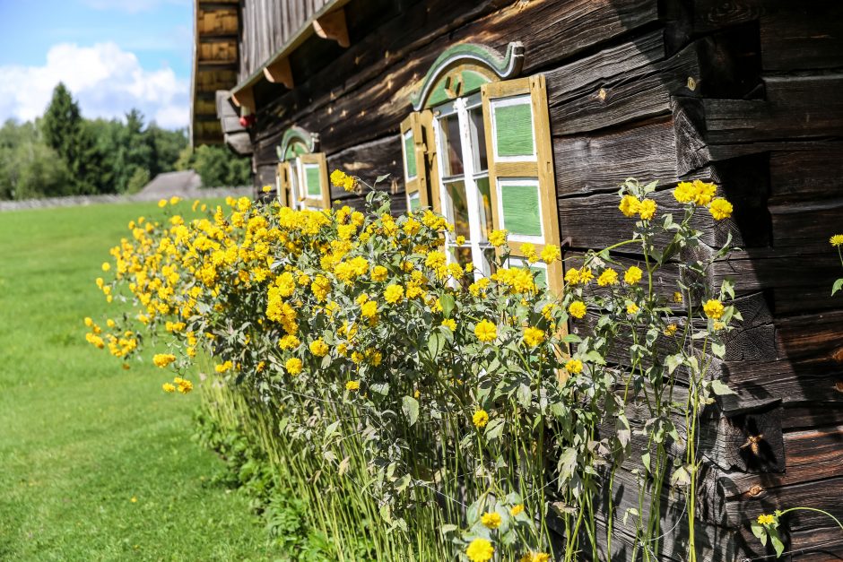 Žolinių šventė Liaudies buities muziejuje