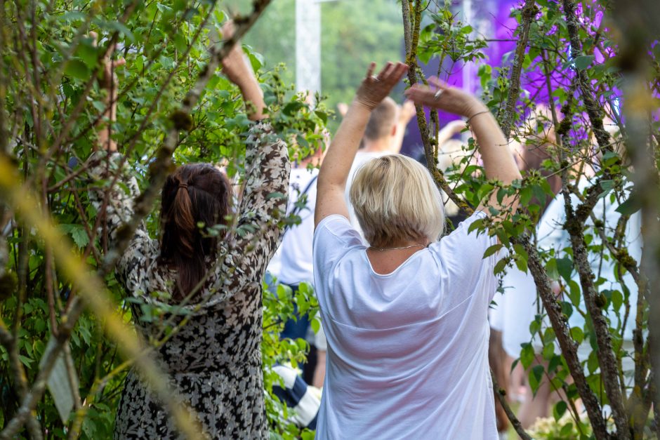 Botaninės naktys | Lietuvos pievos ir miškai – nakties paslaptys