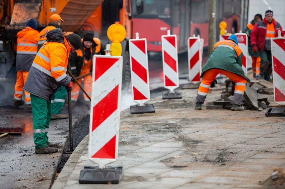 Seimas linkęs griežtinti automobilių kelių infrastruktūros statybas