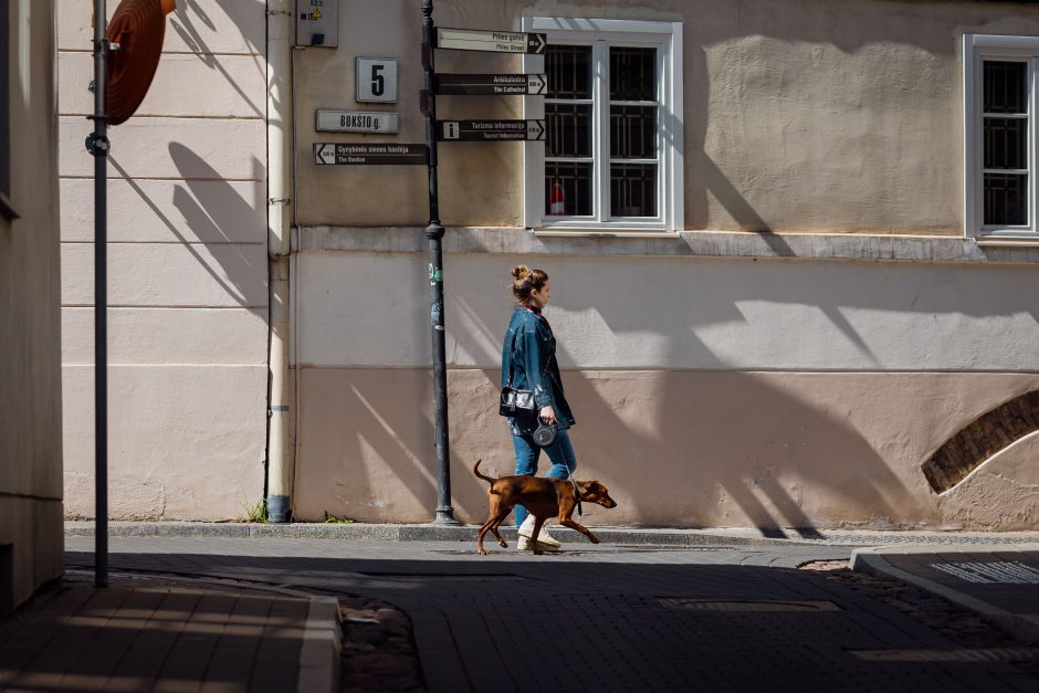 Pavasariška šiluma išviliojo vilniečius į miesto erdves