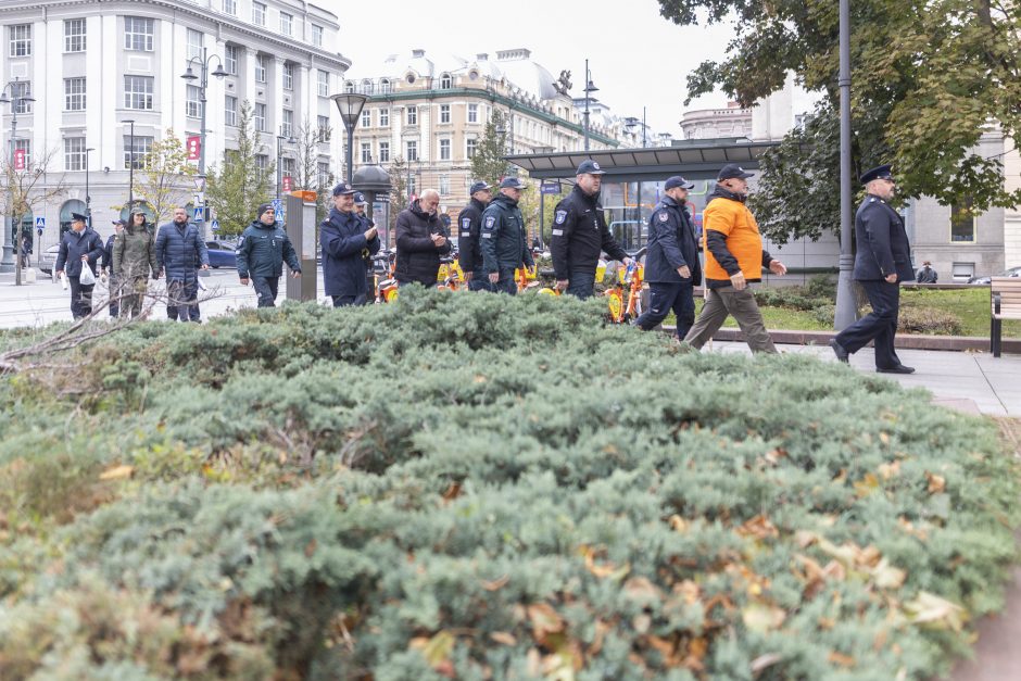 Pareigūnai protestuoja prieš naująjį Statutą: ant šieno krūvos uždėta vyšnia nėra tortas