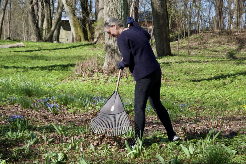 Ukrainiečiai padėkos talkoje tvarkė Vilniaus miesto parkus