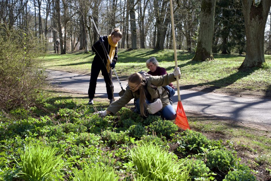 Ukrainiečiai padėkos talkoje tvarkė Vilniaus miesto parkus