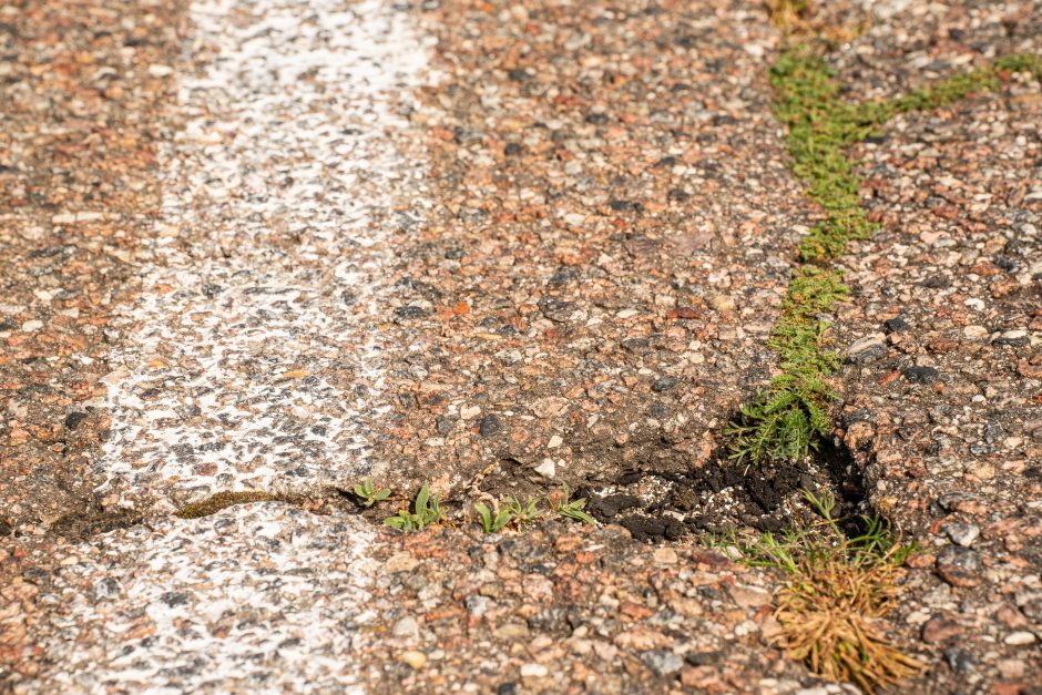 Stagnacija nesibaigia: lenktynių trasa merdi