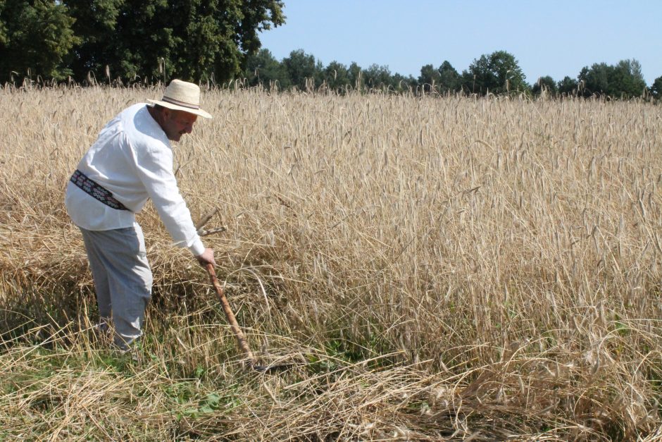 Rumšiškėse nestigo šventinės įvairovės: pasveikinę Onas, priminė ir rugiapjūtės tradicijas