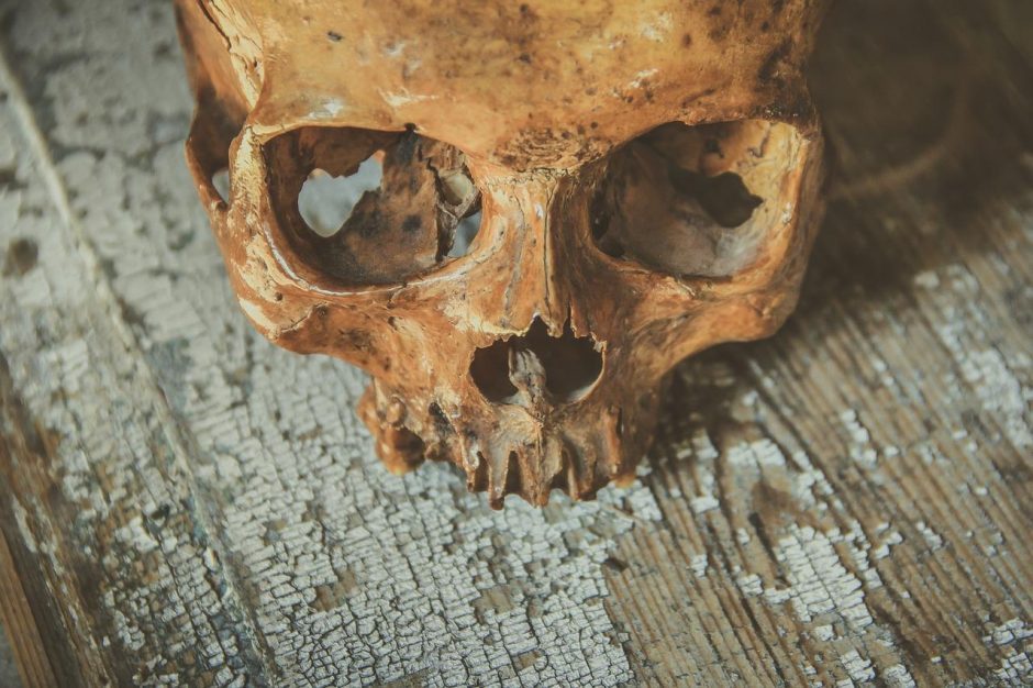 Klaipėdos rajone vyras rado žmogaus kaukolės dalis