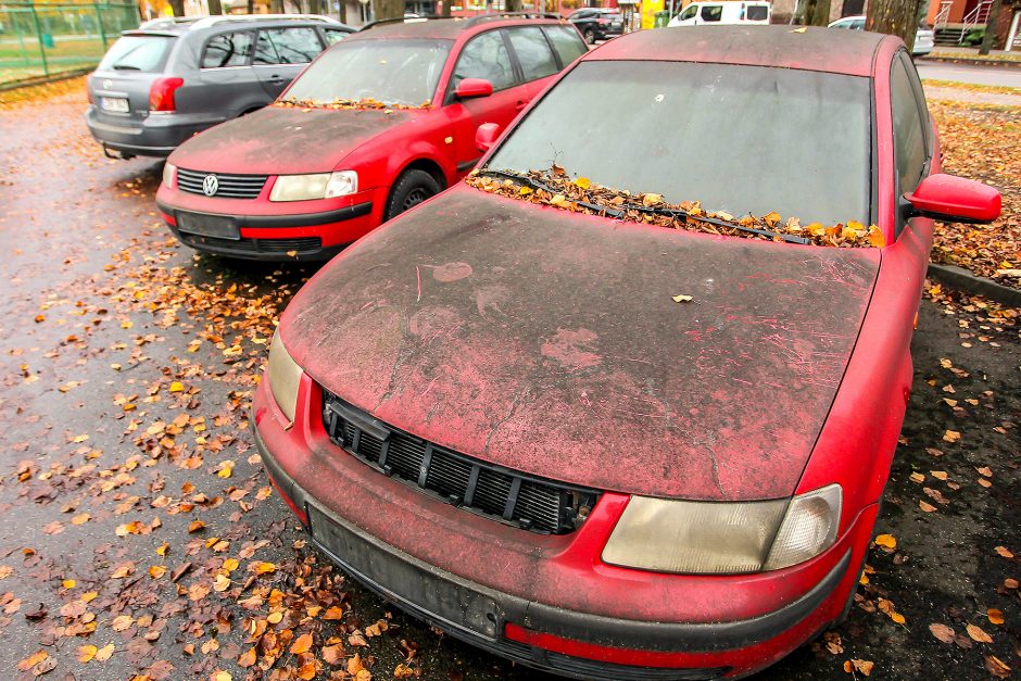 Vairuotojus pykdo aikštelėse vietas užimantys nevažiuojantys išklerėliai