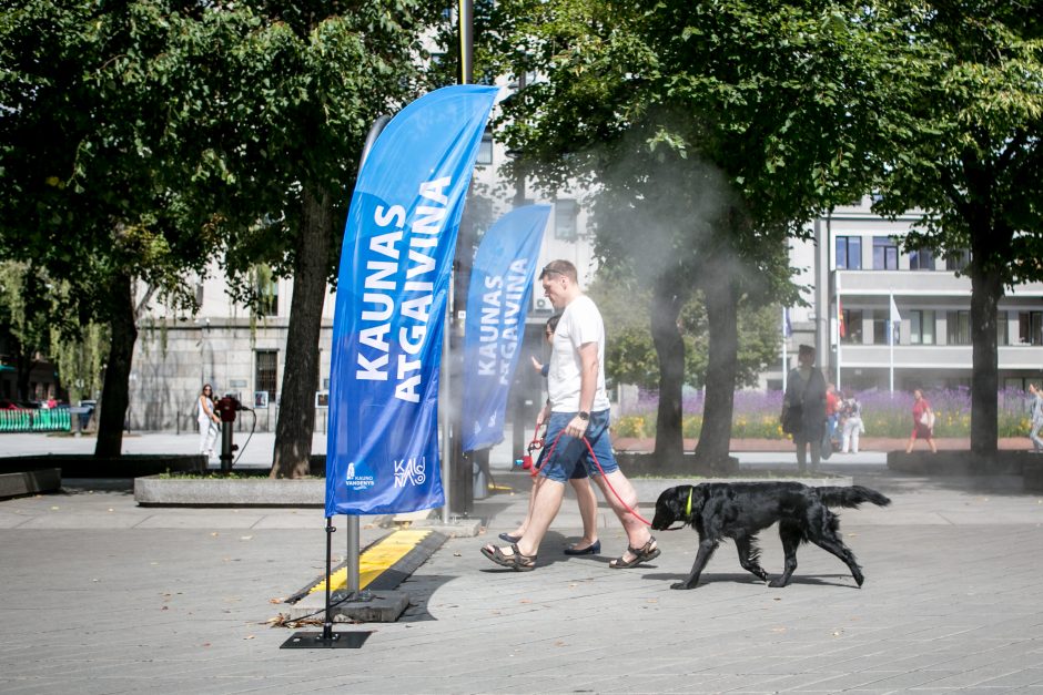 Po žiemos Kaune atgyja geriamojo vandens fontanėliai