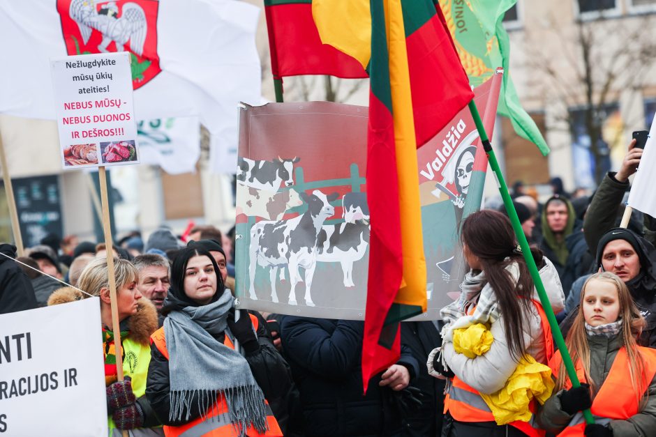 Žemdirbių protestas: skambūs šūkiai, „nubaubtas“ ministras, gaudžiantys traktorių signalai 