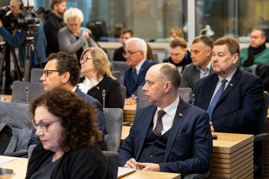 Opozicija nedalyvaus tariantis dėl lėšų gynybai