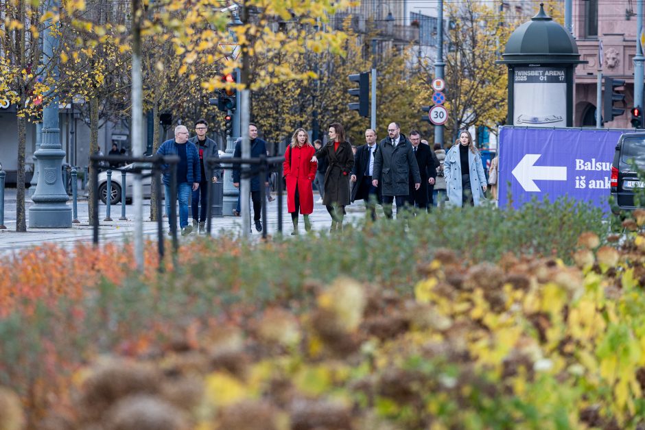 Iš anksto balsavusi V. Čmilytė-Nielsen: savo apsisprendimą paliksiu tarp mūsų, šiauliečių