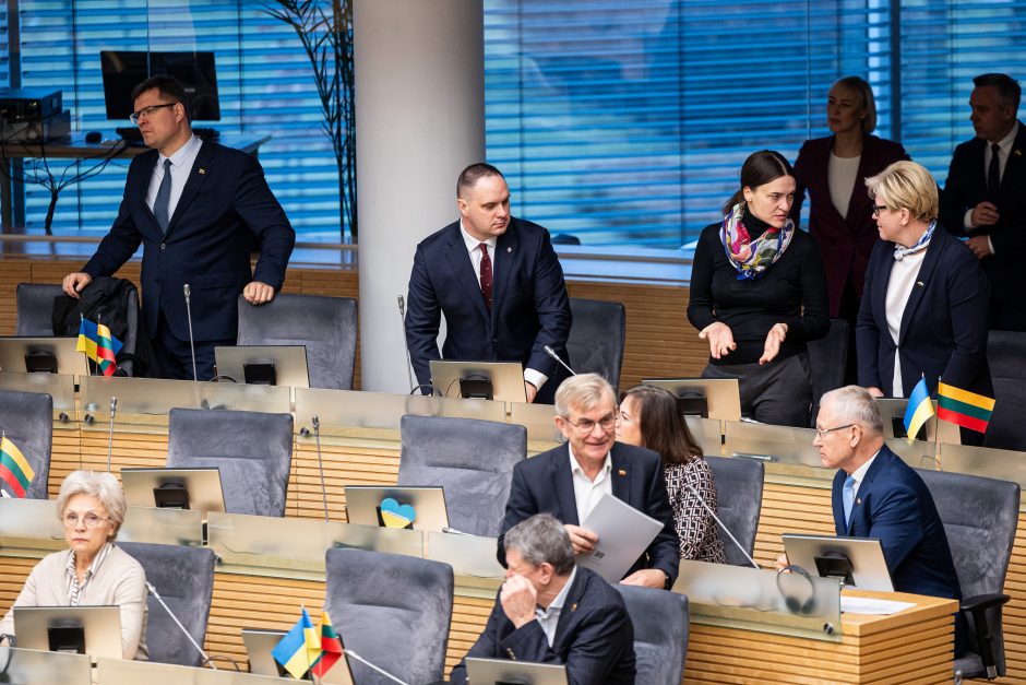 V. Čmilytė-Nielsen dėl suformuotos koalicijos pasigedo greitesnės prezidento reakcijos