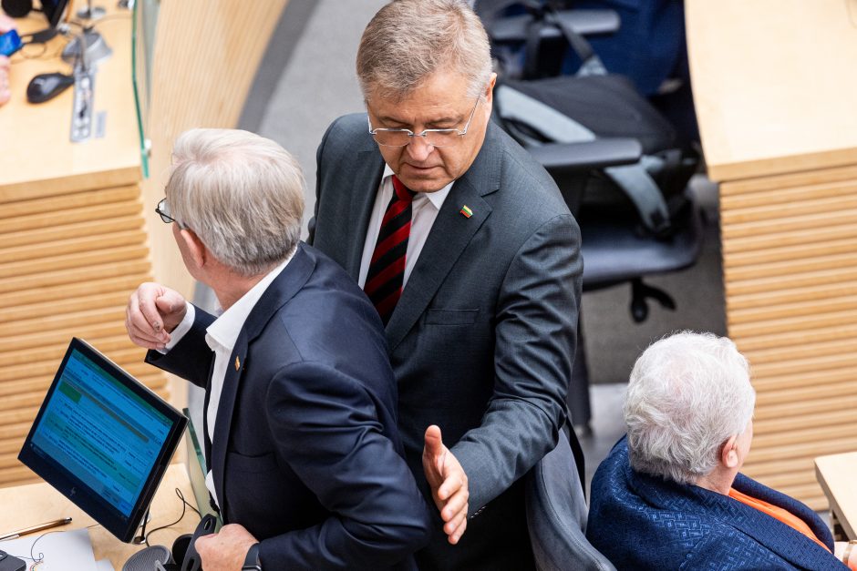 V. Čmilytė-Nielsen dėl suformuotos koalicijos pasigedo greitesnės prezidento reakcijos