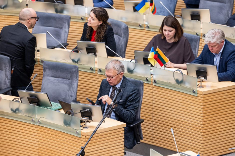 V. Čmilytė-Nielsen dėl suformuotos koalicijos pasigedo greitesnės prezidento reakcijos