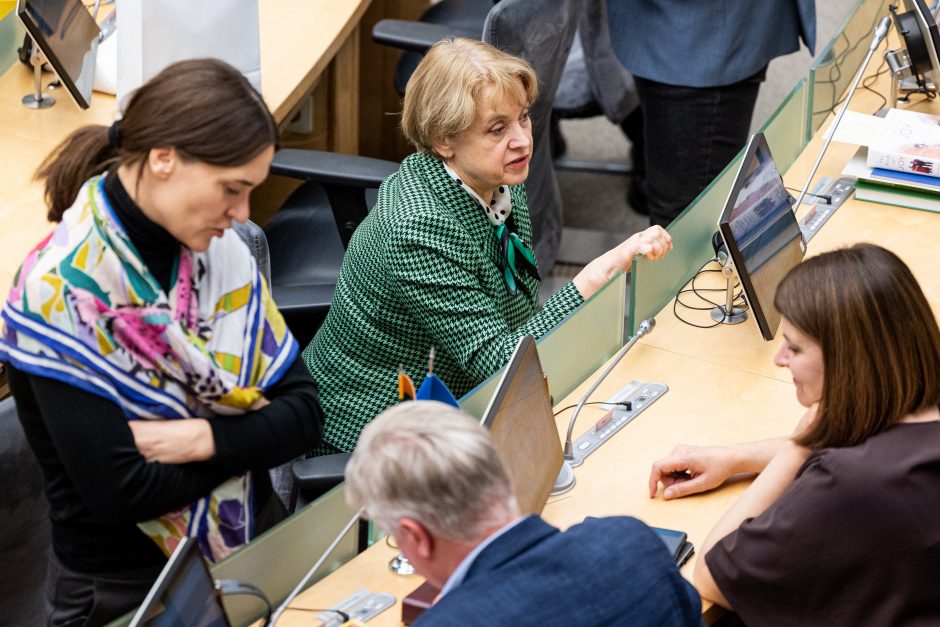 V. Čmilytė-Nielsen dėl suformuotos koalicijos pasigedo greitesnės prezidento reakcijos