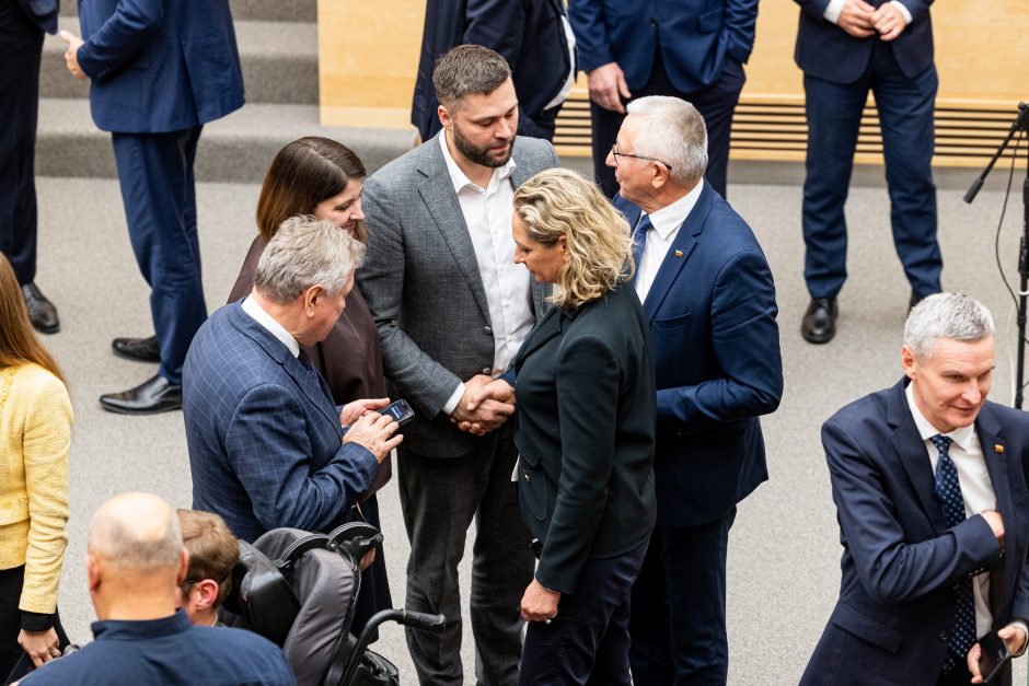 V. Čmilytė-Nielsen dėl suformuotos koalicijos pasigedo greitesnės prezidento reakcijos