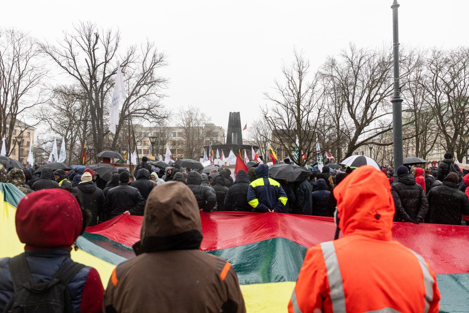 Žemdirbių protestas: skambūs šūkiai, „nubaubtas“ ministras, gaudžiantys traktorių signalai 