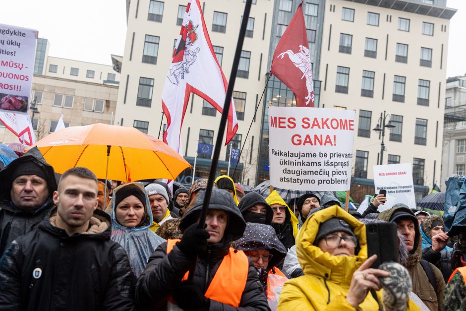 Žemdirbių protestas: skambūs šūkiai, „nubaubtas“ ministras, gaudžiantys traktorių signalai 